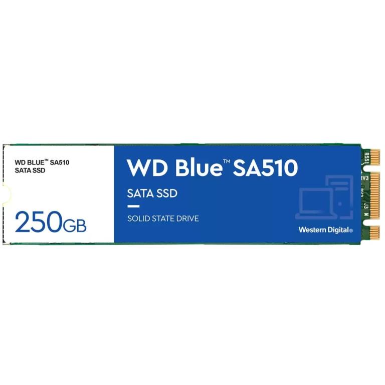 SSD250-WDBLUESA510M2